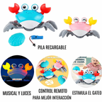 Cangrejo con control remoto